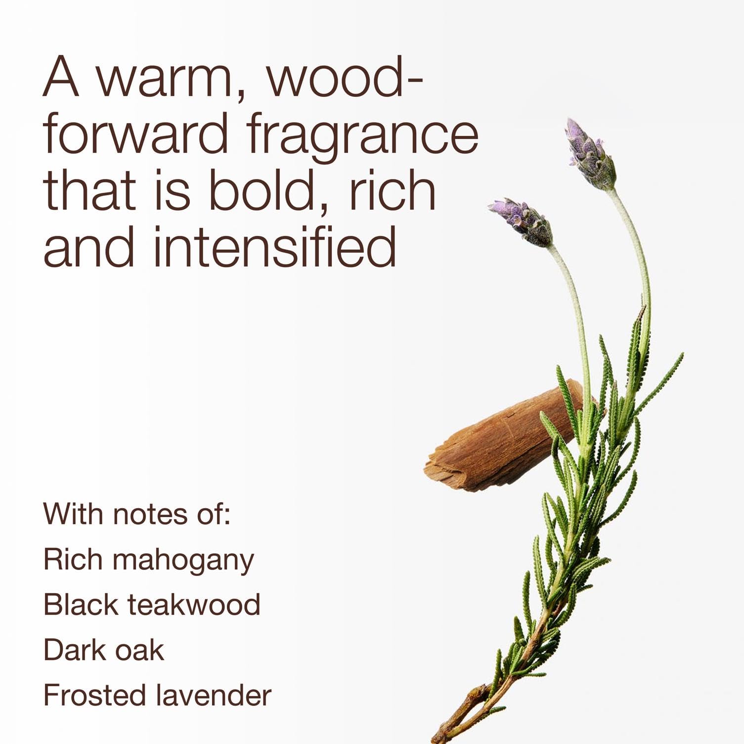 Amazon.com: Bath & Body Works Mahogany Teakwood Intense 3-Wick
